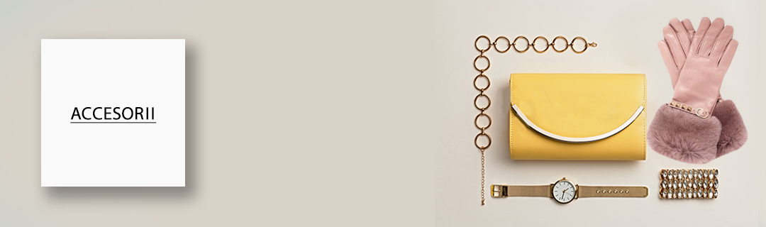 Accesorii