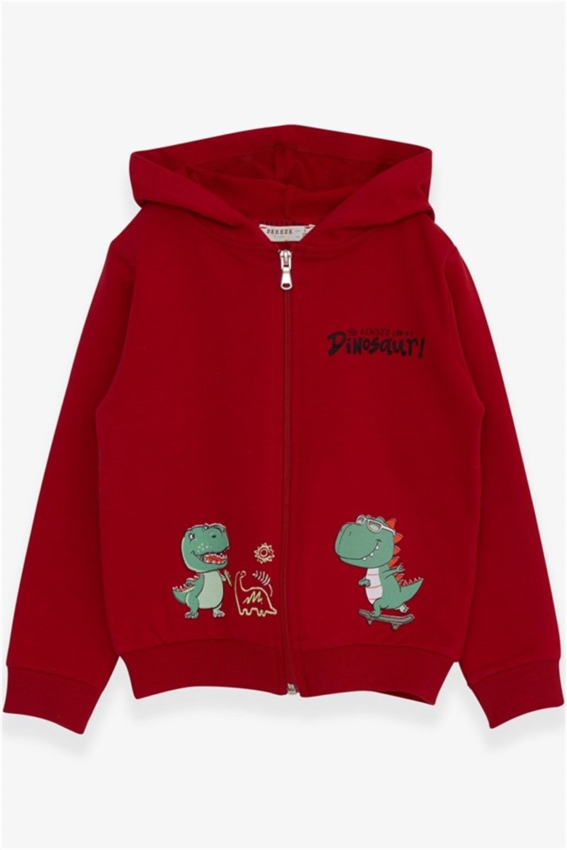 Kids Hooded Sweatshirt for Boys - Red #380474