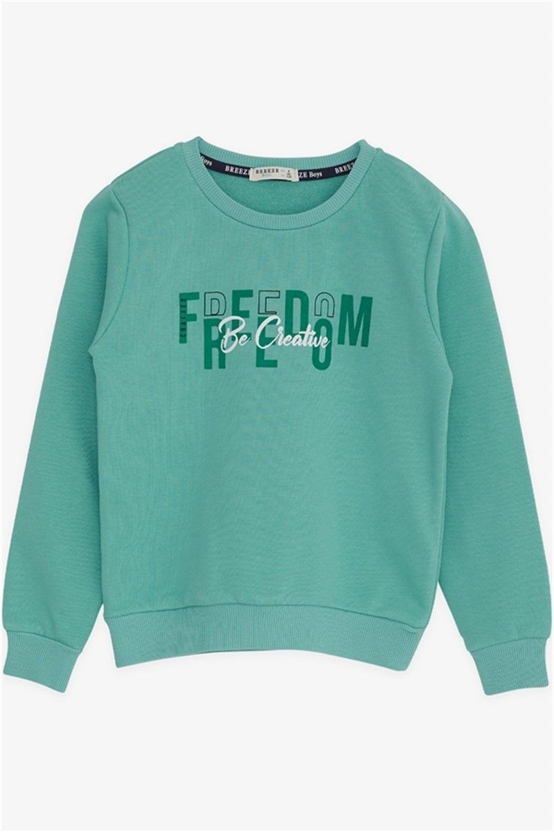 Children's sweatshirt for a boy - Color Mint #380391