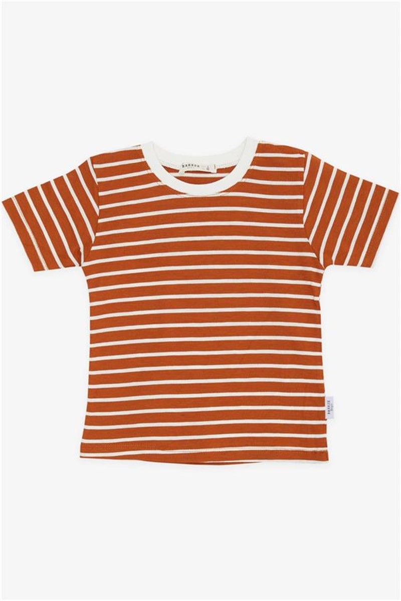 Children's t-shirt for a boy - Color Cinnamon #381179